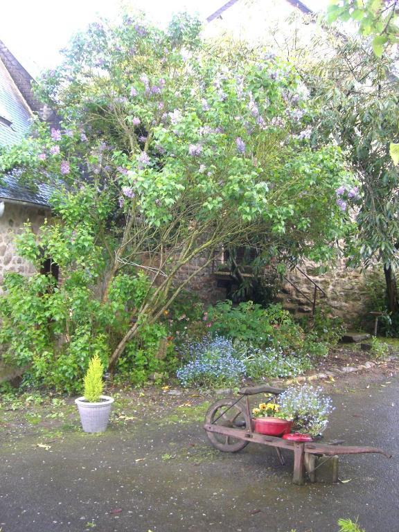 Gites De La Ferme Auberge De Mesauboin Billé Екстериор снимка